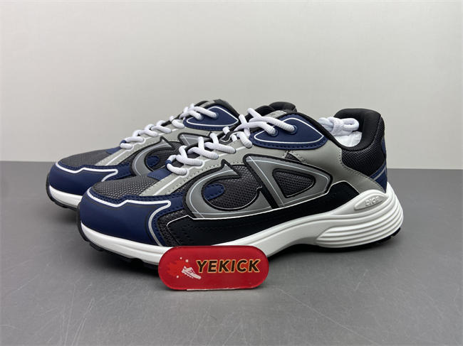 Dior B30 Sneaker