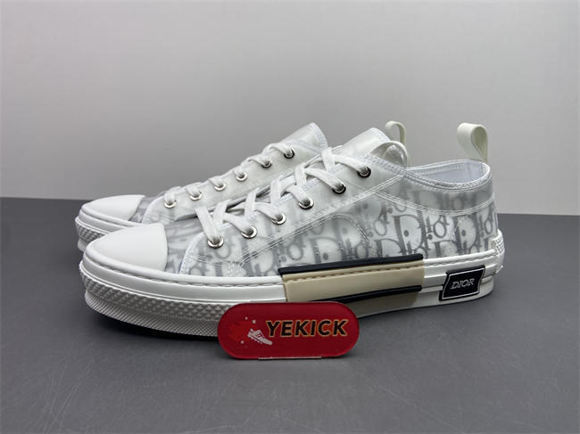 Dior B23 Low Top Sneaker