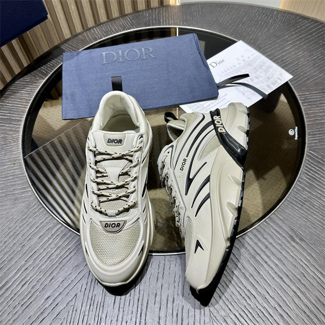 Dior B44 Blade Sneaker