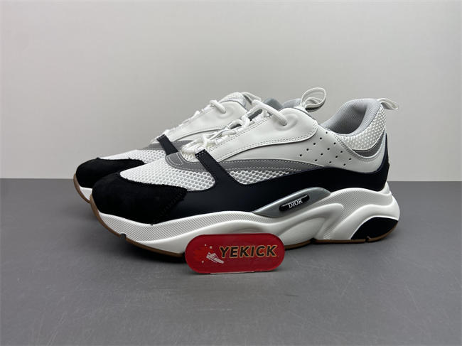 Dior B22 Sneaker