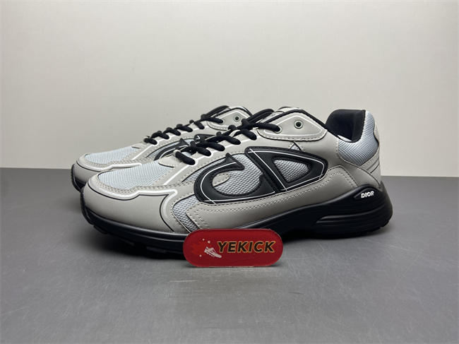 Dior B30 Sneaker